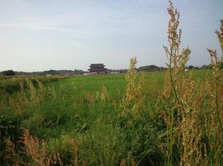 平城宮.jpg